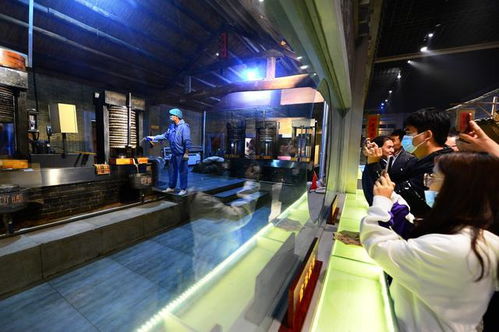 道不盡齊魯糧油好 走進山歌，聽百年油坊唱響的時代新韻